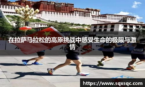 在拉萨马拉松的高原挑战中感受生命的极限与激情