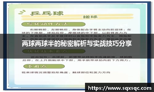 两球两球半的秘密解析与实战技巧分享