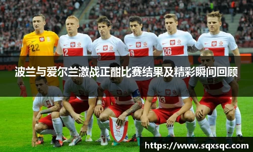 波兰与爱尔兰激战正酣比赛结果及精彩瞬间回顾