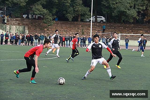 介绍3377体育网址